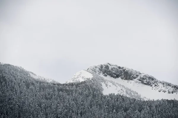Снежный Пик Долине Аспе Франция — стоковое фото