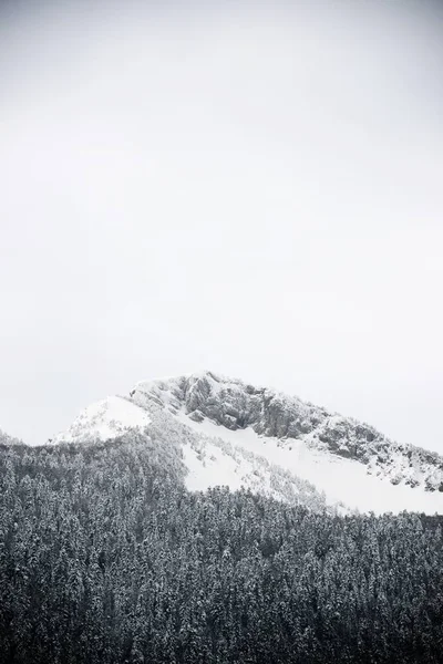 Snowy Peak Aspe Valley France — Stock Photo, Image