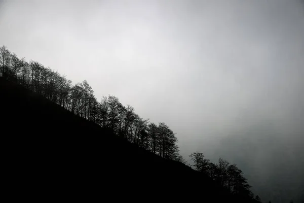 Ліс Lescun Долині Піренеях Франції — стокове фото