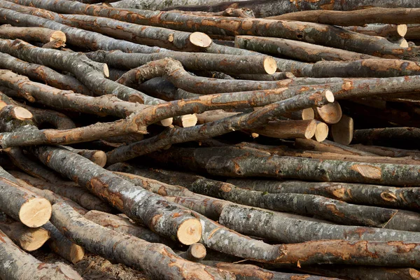 Trabajos Forestales Pirineos Francia — Foto de Stock