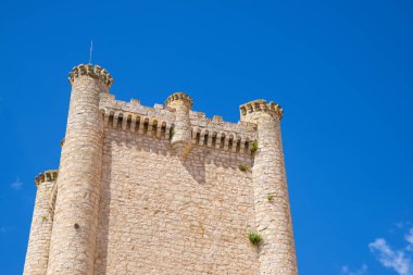 İspanya 'nın Guadalajara ilindeki Castilla La Mancha' daki Torija kalesi..