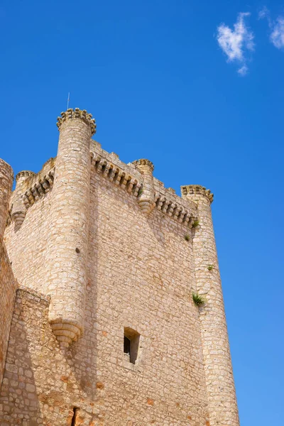 Zamek Torija Castilla Mancha Prowincja Guadalajara Hiszpanii — Zdjęcie stockowe
