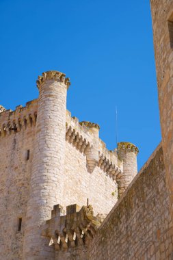 İspanya 'nın Guadalajara ilindeki Castilla La Mancha' daki Torija kalesi..