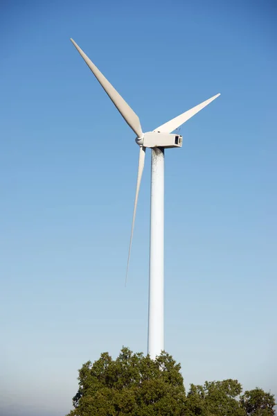 Windmills Electric Power Production Zaragoza Province Aragon Spain — Stock Photo, Image