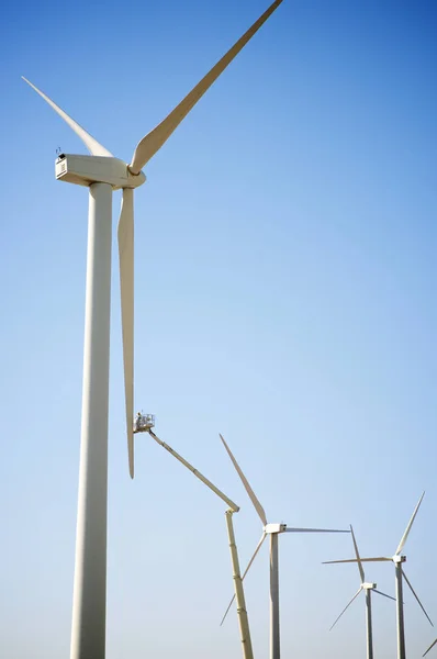 カスティーリャ マンチャ風車 トレド県の修復 — ストック写真