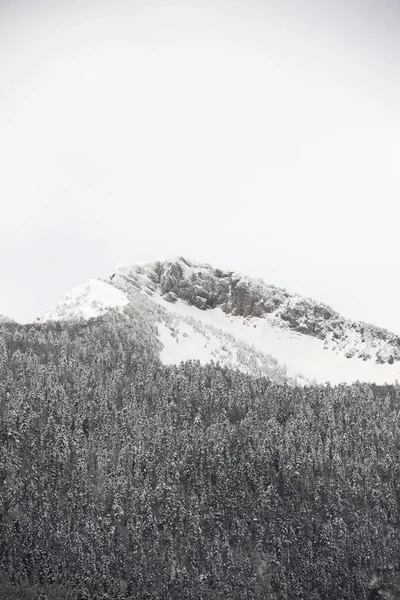 Zasněžený Vrchol Aspe Valley Francie — Stock fotografie