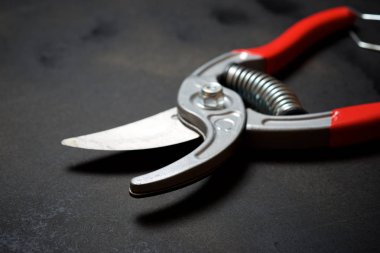 Secateurs siyah bir tablo.