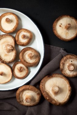 mantar yakın çekim