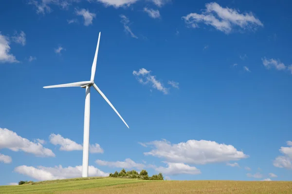 Concepto energía eólica —  Fotos de Stock