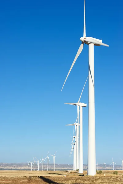 Wind energy concept Stock Picture