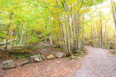 Ordesa Vadisi Milli Parkı