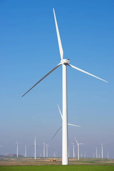 Concepto energía eólica —  Fotos de Stock