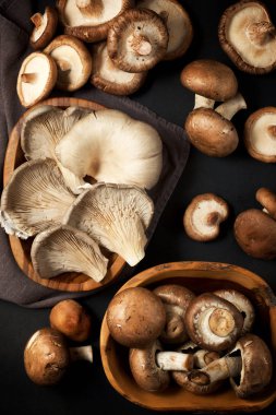 mantar yakın çekim