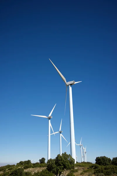 Conceito de energia eólica — Fotografia de Stock