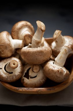 mantar yakın çekim