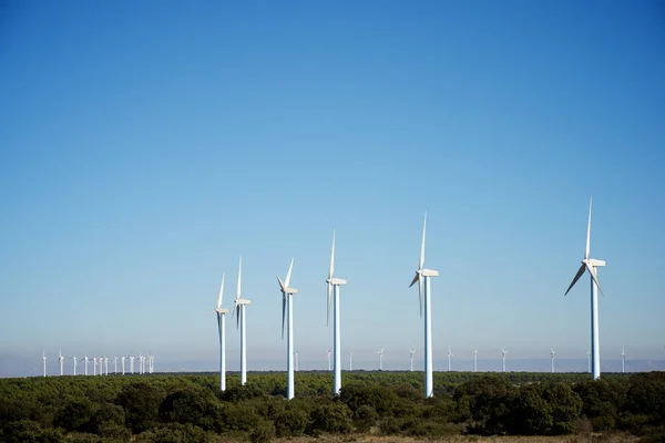 Windenergiekonzept — Stockfoto