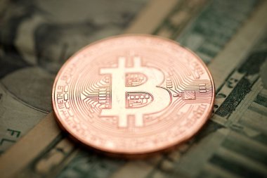 Bitcoins kavramı görünümü