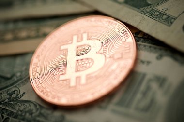 Bitcoins kavramı görünümü