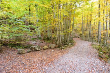 Ordesa Vadisi Milli Parkı