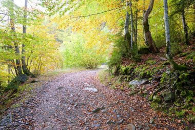 Ordesa Vadisi Milli Parkı