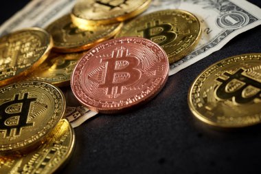 Bitcoins kavramı görünümü
