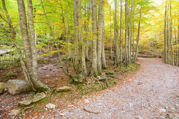 Nationalpark Ordesa-Tal — Stockfoto