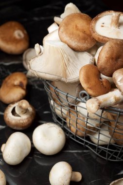 mantar yakın çekim