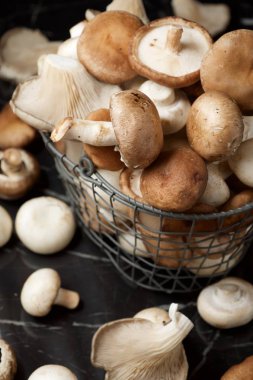 mantar yakın çekim