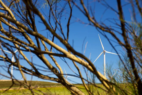 Koncepcja energii wiatrowej — Zdjęcie stockowe