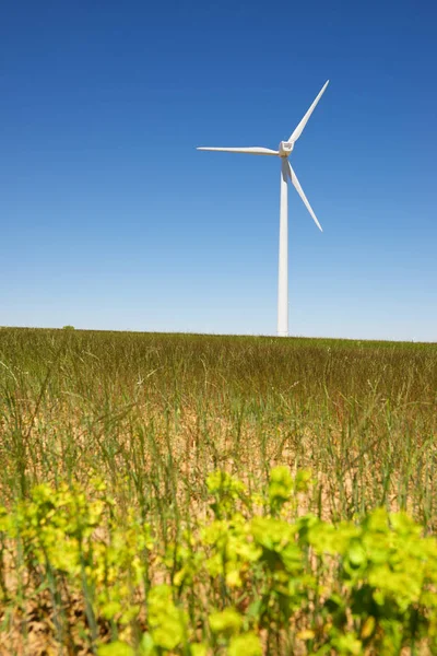 Concepto energía eólica — Foto de Stock