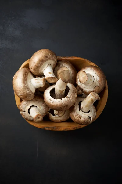 Paddestoelen close-up — Stockfoto