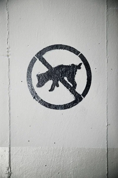 Inte kissa hundar — Stockfoto