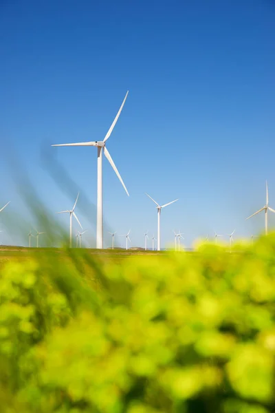 Concepto energía eólica — Foto de Stock