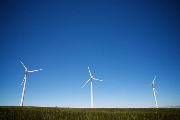 Conceito de energia eólica — Fotografia de Stock