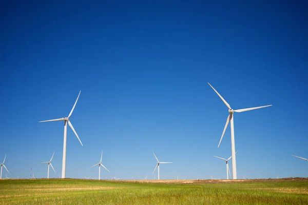 Concepto energía eólica — Foto de Stock