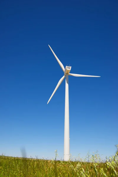 Concepto energía eólica —  Fotos de Stock