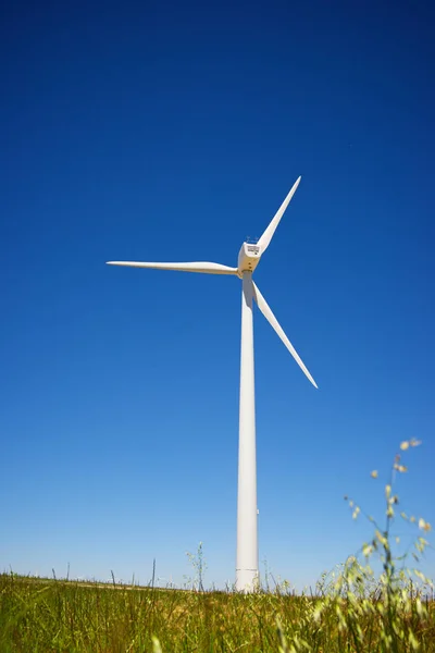 Concepto energía eólica —  Fotos de Stock