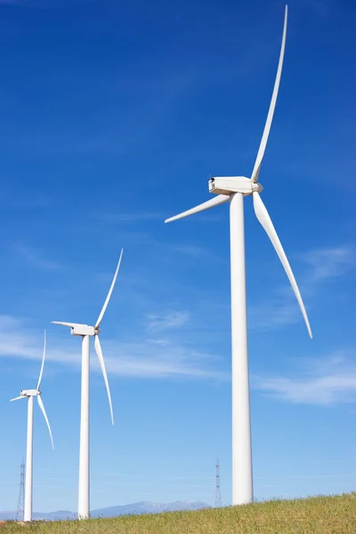 Concepto energía eólica —  Fotos de Stock