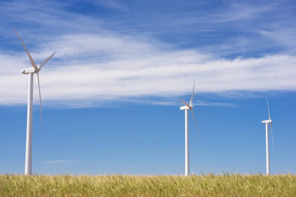 Concepto energía eólica — Foto de Stock