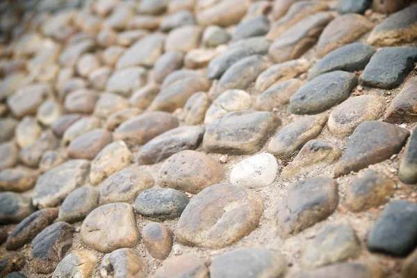 Uitzicht op de betegelde vloer — Stockfoto