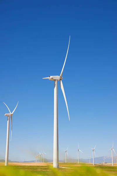 Concepto energía eólica — Foto de Stock