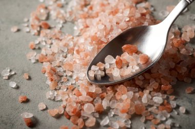 Himalaya tuzu görünümü