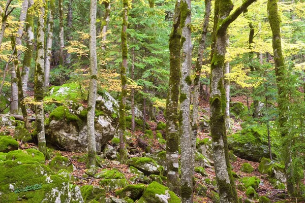 Parque Nacional de Ordesa —  Fotos de Stock