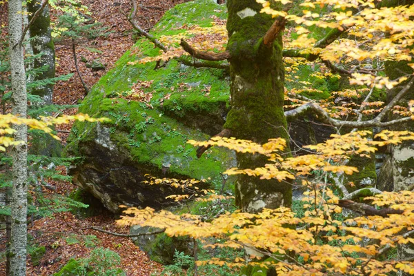 Národní park Ordesa — Stock fotografie