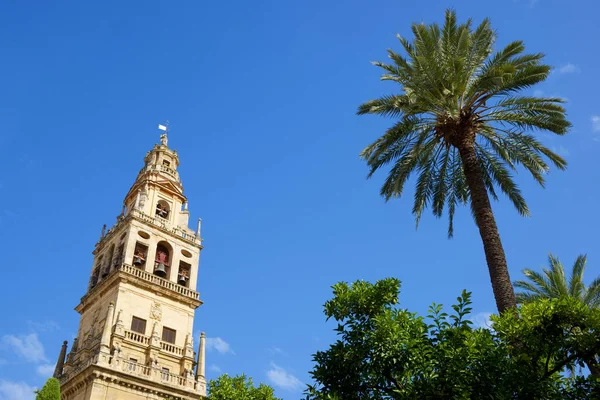 Wieża meczetu w Kordobie — Zdjęcie stockowe