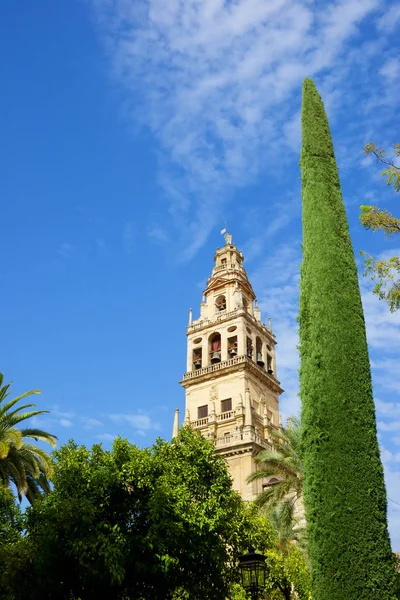 Torre Mezquita de Córdoba —  Fotos de Stock
