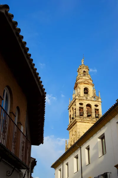 Cordoba Camii Kulesi — Stok fotoğraf