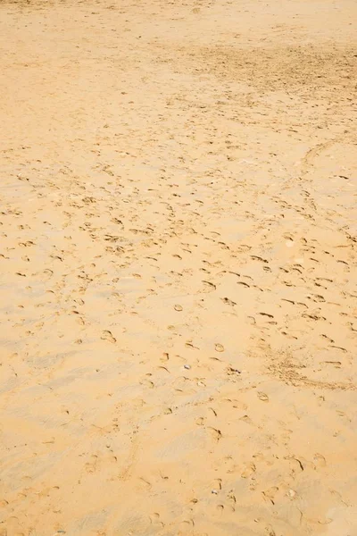 La Concha Beach in Spain — Stock Photo, Image