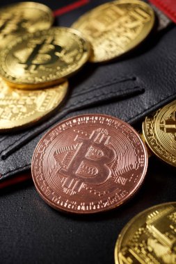 Bitcoins kavramı görünümü