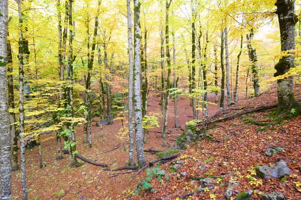 Parque Nacional da Ordesa — Fotografia de Stock